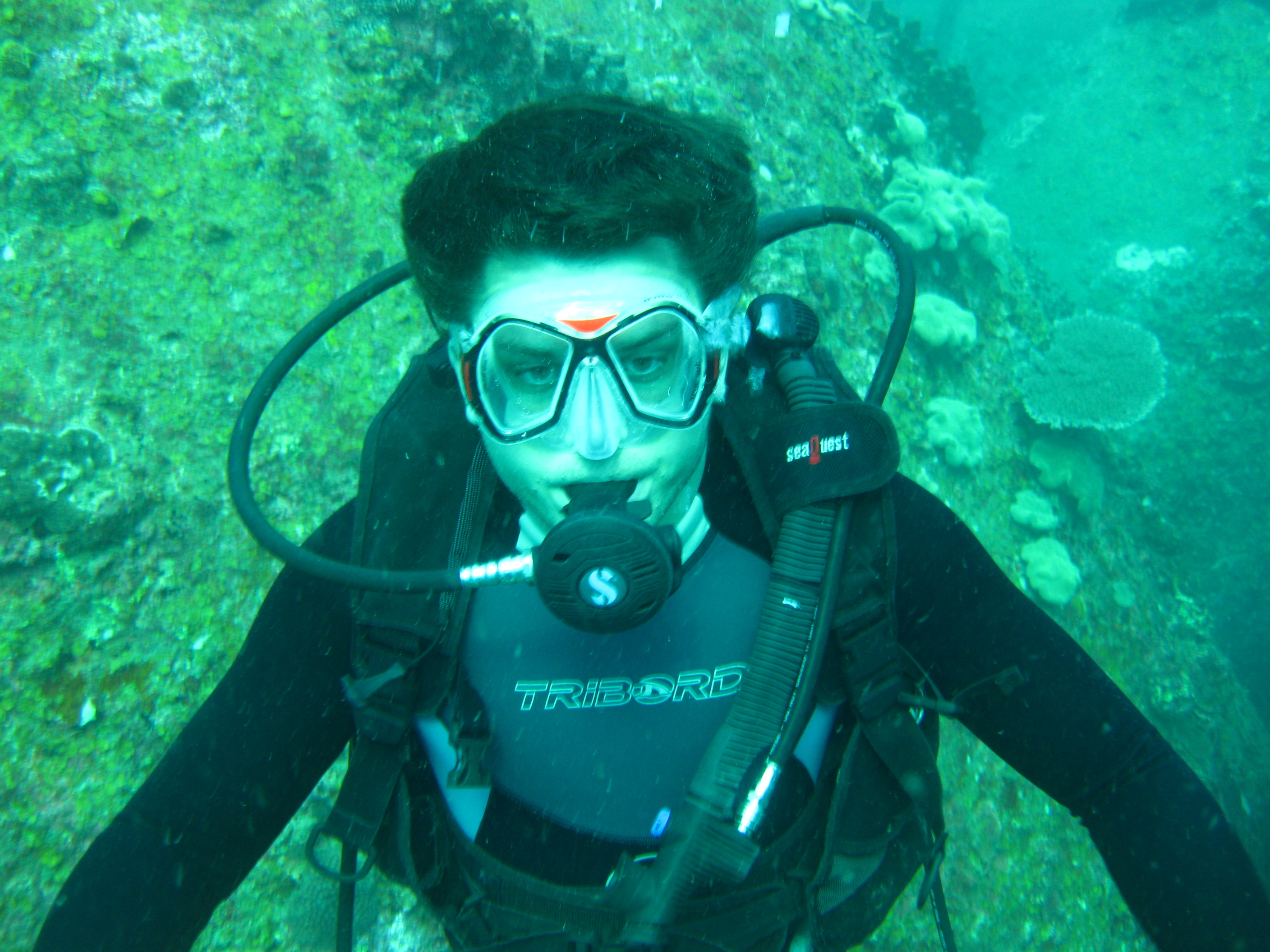Duiker van OVDiemen